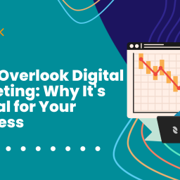 Digital Marketing Spider