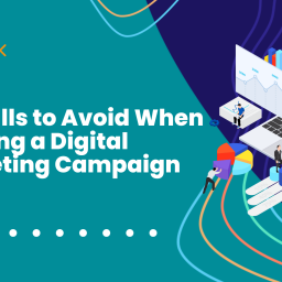 Digital Marketing Spider