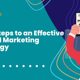 Digital Marketing Spider
