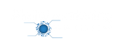 Digital Marketing Spider